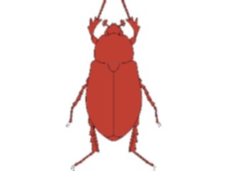 Sticker Custom Preview Image #023847 Animals Insects Crawling Insect14