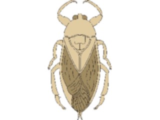 Sticker Custom Preview Image #023849 Animals Insects Crawling Insect16