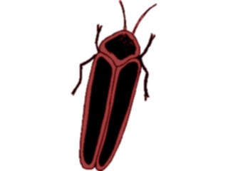 Sticker Custom Preview Image #023860 Animals Insects Crawling Insect27