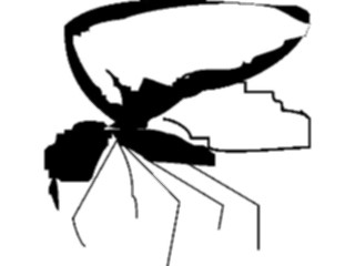 Sticker Custom Preview Image #023896 Animals Insects Fly04