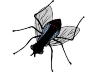 Sticker Custom Preview Image #023899 Animals Insects Fly07