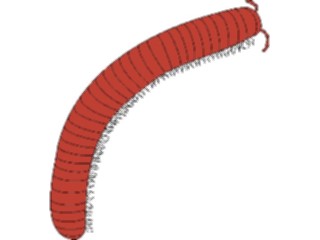 Sticker Custom Preview Image #023966 Animals Insects Millipede