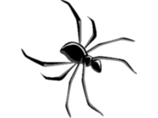 Sticker Custom Preview Image #024073 Animals Insects Spider10