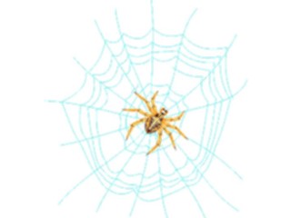 Sticker Custom Preview Image #024075 Animals Insects Spider12