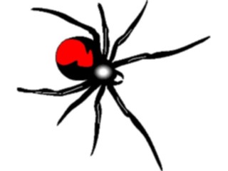Sticker Custom Preview Image #024083 Animals Insects Spider Redback