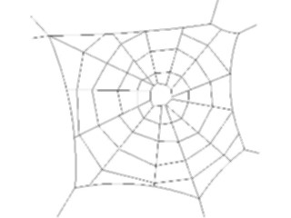 Sticker Custom Preview Image #024084 Animals Insects Spider Web1