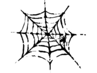 Sticker Custom Preview Image #024087 Animals Insects Spider Web4
