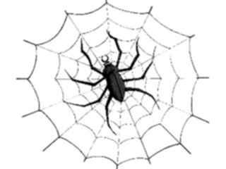 Sticker Custom Preview Image #024089 Animals Insects Spider Web6