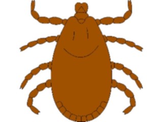 Sticker Custom Preview Image #024099 Animals Insects Tick