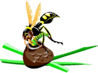 Sticker Custom Preview Image #024103 Animals Insects Wasp4