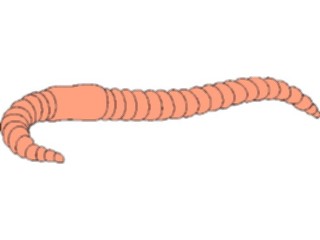 Sticker Custom Preview Image #024106 Animals Insects Worm1