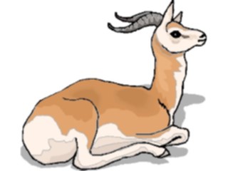 Sticker Custom Preview Image #024168 Animals Land Animals Antelope34