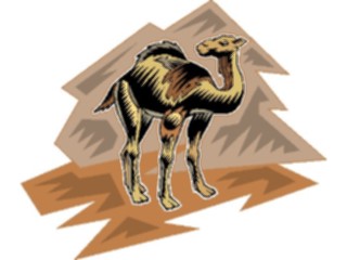 Sticker Custom Preview Image #024373 Animals Land Animals Camel14