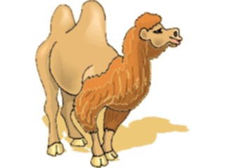 Sticker Custom Preview Image #024381 Animals Land Animals Camel22