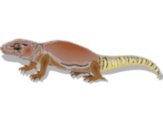Sticker Custom Preview Image #024425 Animals Land Animals Chuckwalla