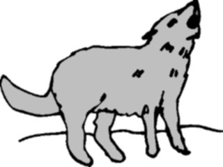 Sticker Custom Preview Image #024443 Animals Land Animals Coyote2