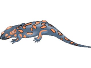 Sticker Custom Preview Image #024581 Animals Land Animals Fire Salamander