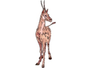 Sticker Custom Preview Image #024654 Animals Land Animals Gazelle9
