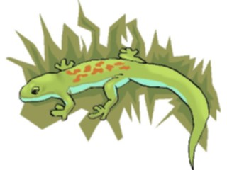 Sticker Custom Preview Image #024896 Animals Land Animals Lizard14
