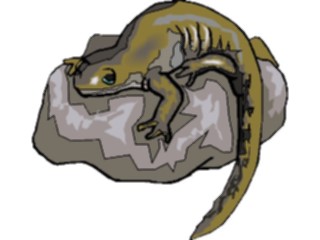 Sticker Custom Preview Image #024901 Animals Land Animals Lizard19