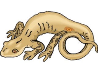 Sticker Custom Preview Image #024904 Animals Land Animals Lizard22