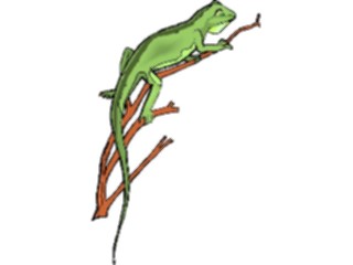 Sticker Custom Preview Image #024917 Animals Land Animals Lizard35
