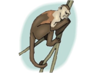 Sticker Custom Preview Image #024977 Animals Land Animals Monkey16