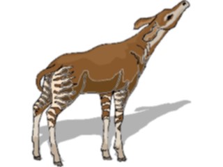 Sticker Custom Preview Image #025047 Animals Land Animals Opaki3