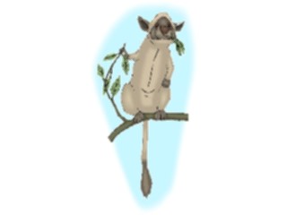 Sticker Custom Preview Image #025051 Animals Land Animals Opossum4