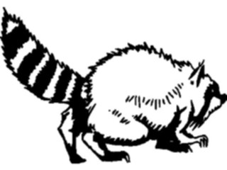 Sticker Custom Preview Image #025167 Animals Land Animals Racoon2