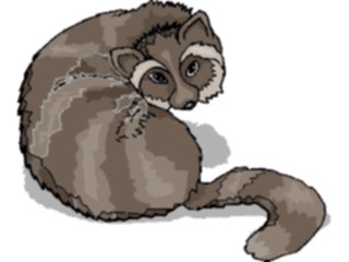 Sticker Custom Preview Image #025171 Animals Land Animals Racoon6