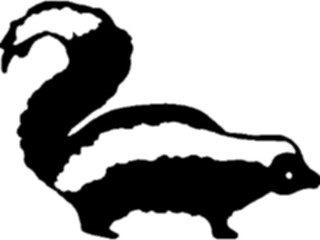 Sticker Custom Preview Image #025240 Animals Land Animals Skunk1