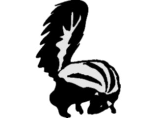 Sticker Custom Preview Image #025243 Animals Land Animals Skunk4