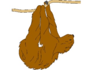 Sticker Custom Preview Image #025247 Animals Land Animals Sloth1
