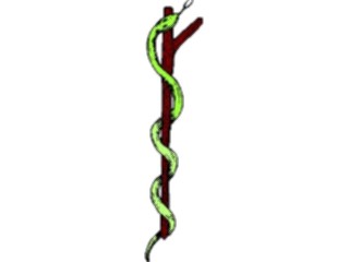 Sticker Custom Preview Image #025288 Animals Land Animals Snake Branch