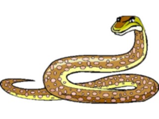 Sticker Custom Preview Image #025293 Animals Land Animals Snake Python