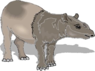 Sticker Custom Preview Image #025334 Animals Land Animals Tapir5