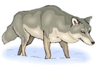 Sticker Custom Preview Image #025415 Animals Land Animals Wolf12