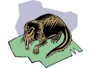 Sticker Custom Preview Image #025423 Animals Land Animals Wolverine