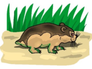Sticker Custom Preview Image #025425 Animals Land Animals Wombat2