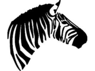 Sticker Custom Preview Image #025430 Animals Land Animals Zebra02