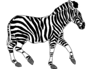 Sticker Custom Preview Image #025432 Animals Land Animals Zebra04