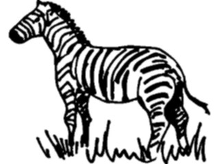 Sticker Custom Preview Image #025434 Animals Land Animals Zebra06