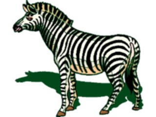 Sticker Custom Preview Image #025438 Animals Land Animals Zebra10