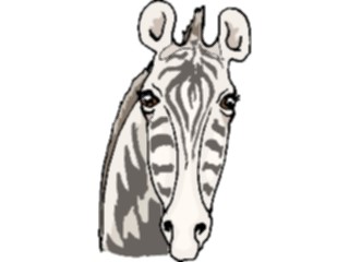 Sticker Custom Preview Image #025441 Animals Land Animals Zebra13