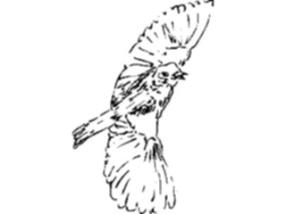 Sticker Custom Preview Image #025517 Animals Line Art Bird Flying23