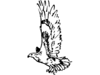 Sticker Custom Preview Image #025518 Animals Line Art Bird Flying24