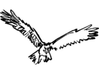 Sticker Custom Preview Image #025519 Animals Line Art Bird Flying25