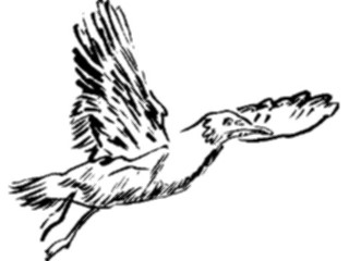 Sticker Custom Preview Image #025520 Animals Line Art Bird Flying26