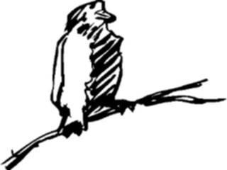 Sticker Custom Preview Image #025525 Animals Line Art Bird Perched01
